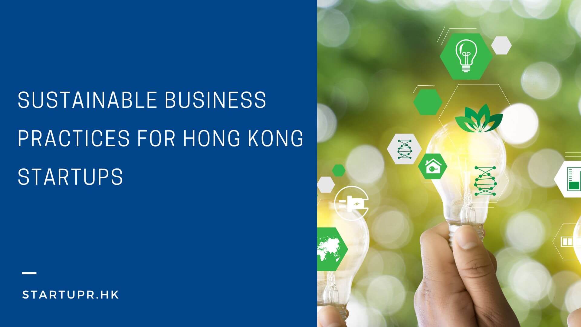 Sustainable Business Practices For Hong Kong Startups | Startupr.hk