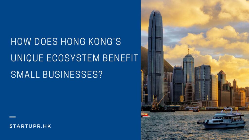 How does Hong Kong's Unique Ecosystem Benefit Small Businesses?